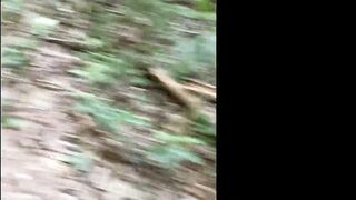 We went on the waterfall trail and almost get caught inside the bitching!