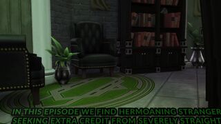 Severely Heterosexual's Potion Class - Gobbywarts//Harry Potter Rule 34//Sims four