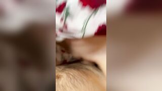 Incredible Sexy natural hooters, ride a dick and cum on boobies. Romantic sex of a lovers. pov