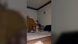 Pawg gets soak twat stuffed and finger bang