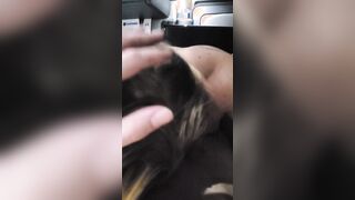 Head inside the semi from dwarf