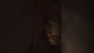 Pose oral sex for my pathetic ex