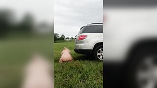 Public sex toy and vehicle banged inside a field