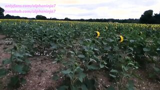 Boned Me inside the Sunflower Field then Buy Me Them
