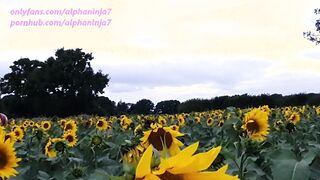 Boned Me inside the Sunflower Field then Buy Me Them