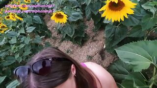 Boned Me inside the Sunflower Field then Buy Me Them