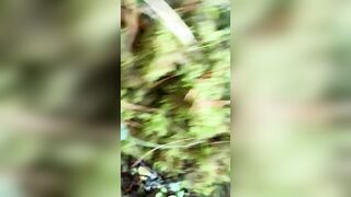 Anal & soak stuff happening into the woods