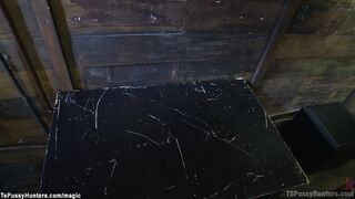 Busty shemale gets big cock fucked