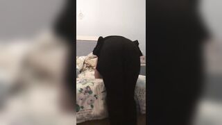 The_Stretched_Sub blows her masters dick and gets plowed and fisted for her birthday.