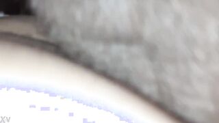 Vulgar white chick