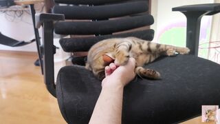 Furry snatch loves to bite you .... It grabs you and won't let go.
