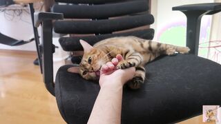 Furry snatch loves to bite you .... It grabs you and won't let go.