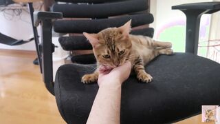 Furry snatch loves to bite you .... It grabs you and won't let go.