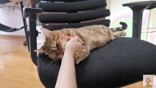 Furry snatch loves to bite you .... It grabs you and won't let go.