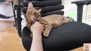 Furry snatch loves to bite you .... It grabs you and won't let go.