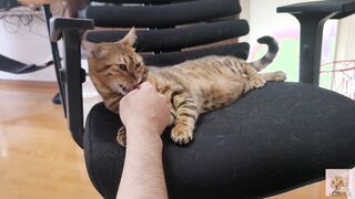 Furry snatch loves to bite you .... It grabs you and won't let go.