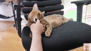 Furry snatch loves to bite you .... It grabs you and won't let go.