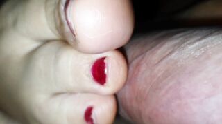 Overview of the fantastic foot