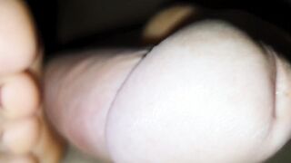 Overview of the fantastic foot