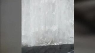 She put his dick in honey and starts to eat on periscope