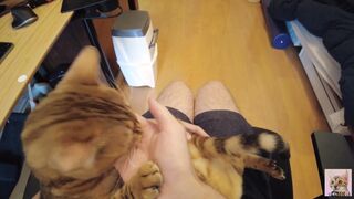 Having Fun with a furry vagina. Uncensored point of view.