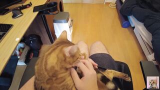 Having Fun with a furry vagina. Uncensored point of view.