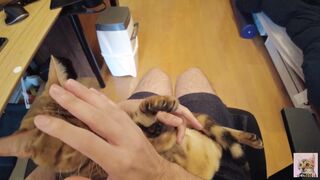 Having Fun with a furry vagina. Uncensored point of view.