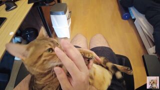 Having Fun with a furry vagina. Uncensored point of view.
