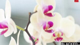 BLACKED Erotic Freya & Stefany hunger for trouble & BBC