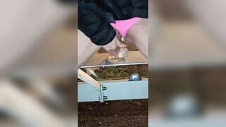 Rides vibrator at the bus-stop - Mya Sya