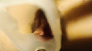 Anal speculum and performance in my asshole
