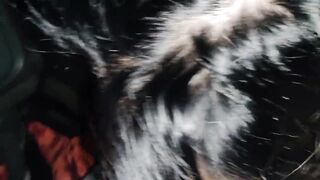 Outside fellatio in car american 19 year old year mature from forsex.eu