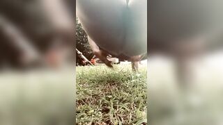The next door pulled up, and almost caught me masturbating next to