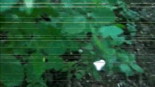 Publicly tight and plowed - hardcore