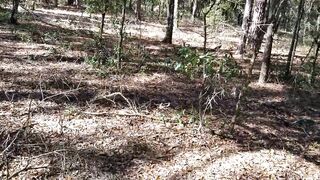 Lover fucking me into the woods
