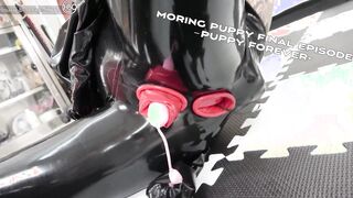 Moring puppy final episode－Puppy forever ヒトイヌfinal－永遠の仔犬