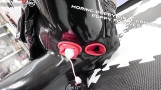 Moring puppy final episode－Puppy forever ヒトイヌfinal－永遠の仔犬