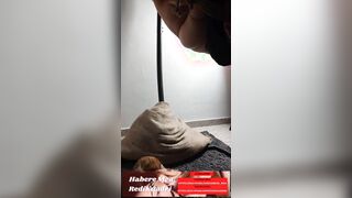 Coppia italiana - moretta legata e sospesa - shibari