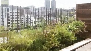fuck korean wife