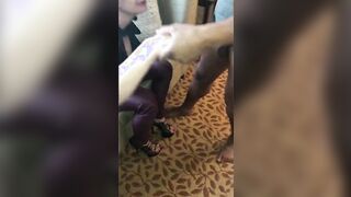 Big Black Cock and Big Tits Sexwife