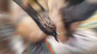 RAW SEX : Sneaky Link Happening Into My Bedroom With Freakyqueennxx Fucking My Ex-Hubby Sugar Boyy1 While I Was There ( FULL FILM ON MY RED MEMBERSHIP ONLY)