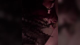 Black cunt with mouth banged! by 2 men