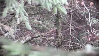 M.Madeleine Piras fucks a mega toy pig in the woods