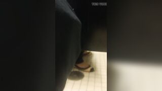 Understall peeing farts