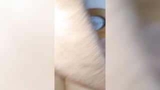 Ex-Wifey anal banged! and sucking off off cock 3-way homemade
