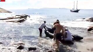 Blonde nailed rough on the beach with double penetration