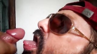 Bezerro carioca mamando os machos