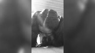 sexxy 18 year old puppy women sucking off cock