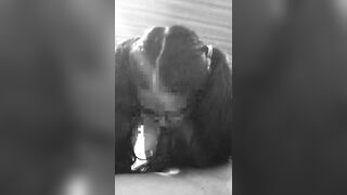 sexxy 18 year old puppy women sucking off cock