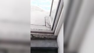 Chinese girl fucked